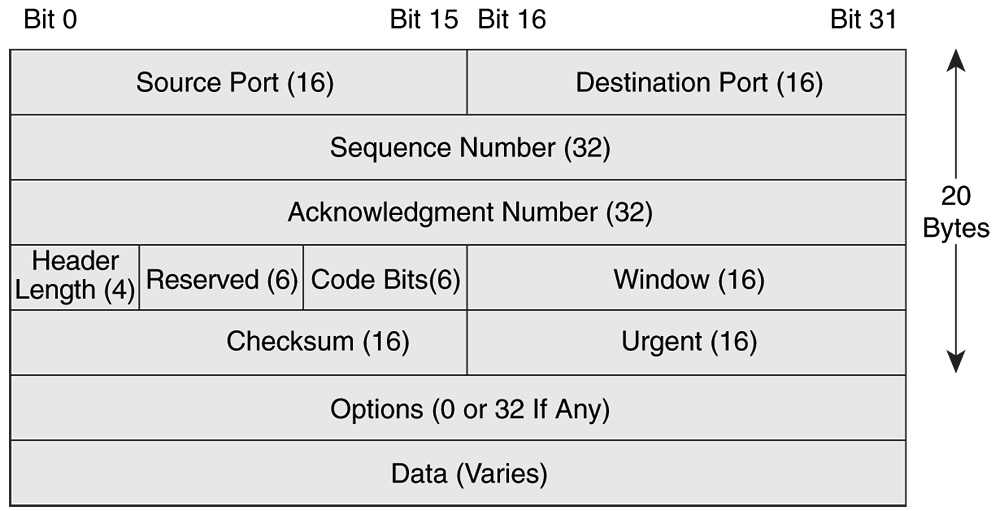 The TCP Header Field